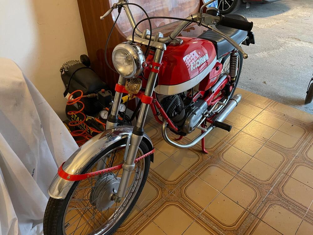 Moto Morini Corsarino 50 (2)