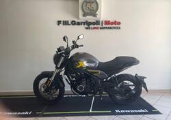 Voge Trofeo 525ACX Scrambler (2023 - 25) usata