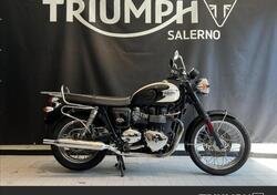 Triumph Bonneville T100 (2008 - 16) usata