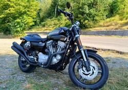 Harley-Davidson 1200 XR (2009 - 12) usata