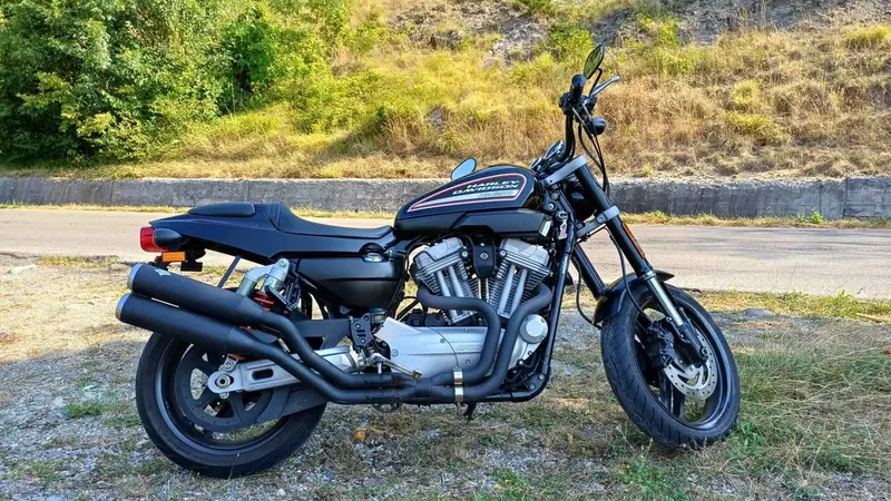 Harley-Davidson 1200 XR (2009 - 12) (2)