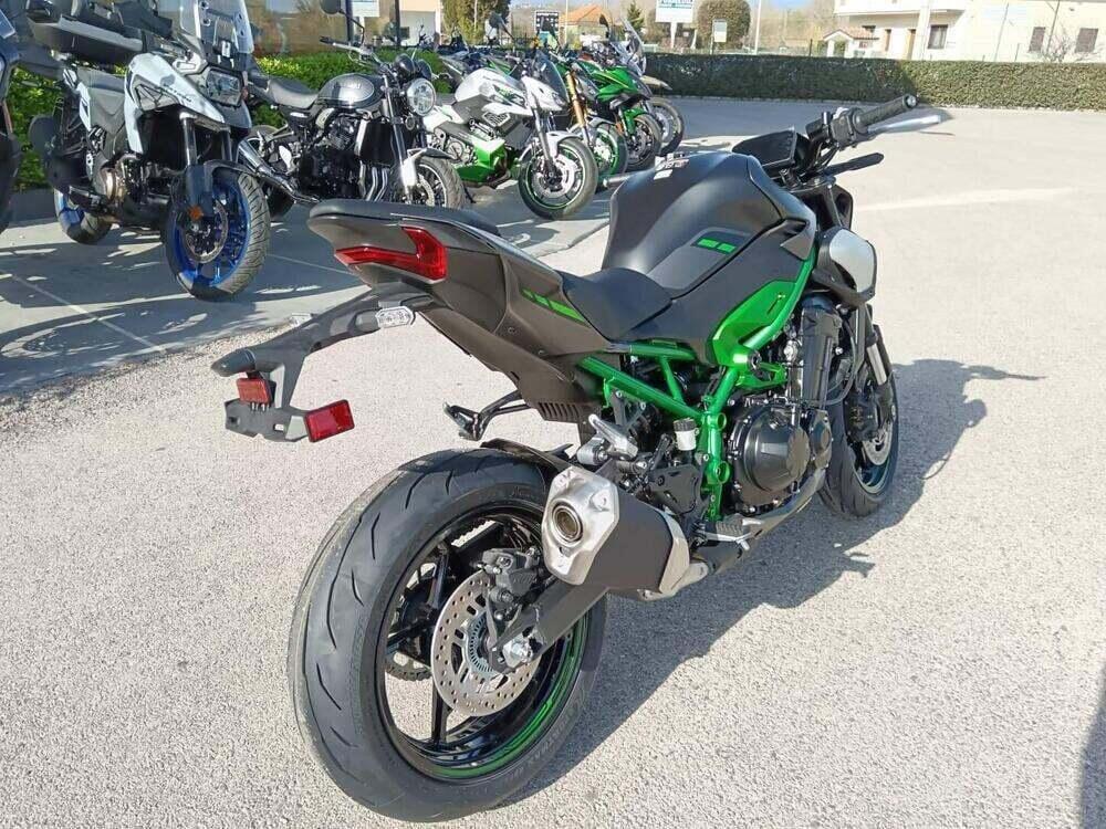 Kawasaki Z 900 (2025 - 26) (5)