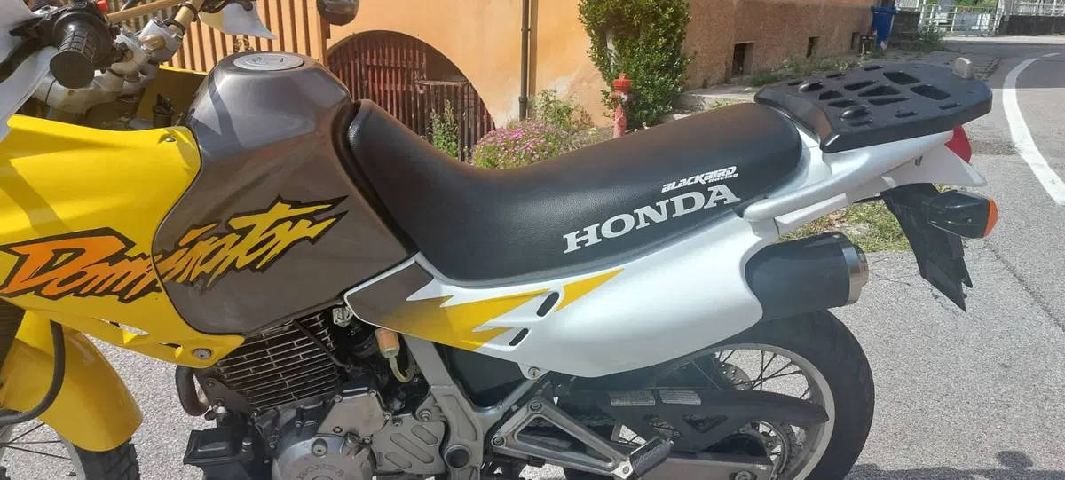 Honda NX 650 DOMINATOR (10)