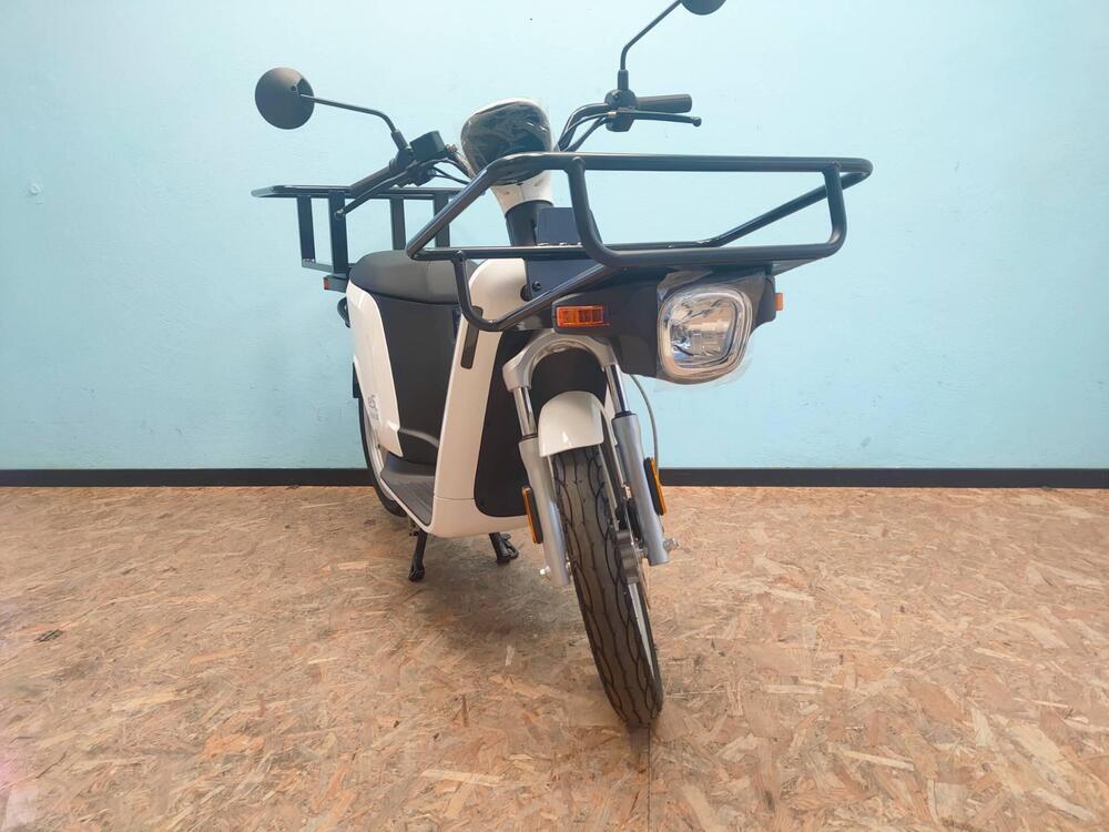 Askoll eS Pro 45 (2019 - 22) (2)