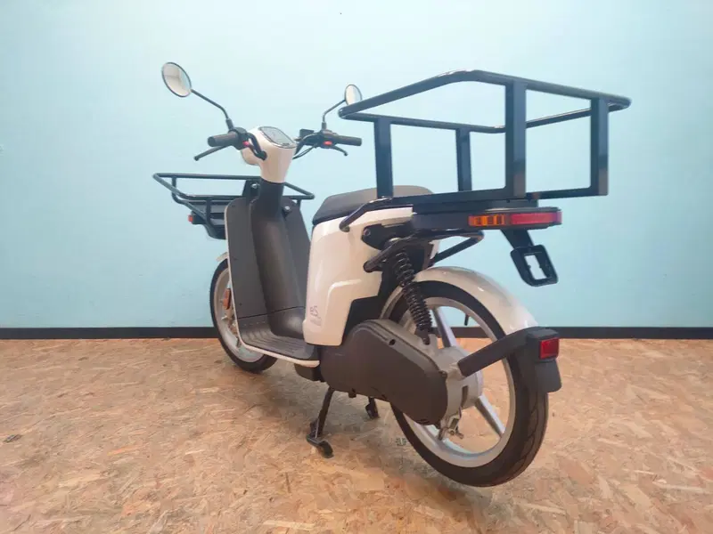 Askoll eS Pro 45 (2019 - 22) (5)