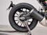 Ducati Scrambler 800 Icon (2023 - 25) (6)