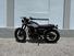 Mutt Motorcycles GT-SR 250 (2022 - 25) (10)