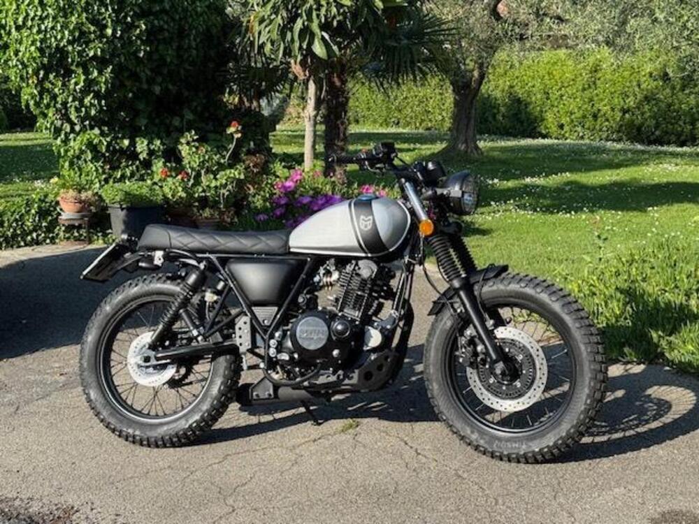 Mutt Motorcycles RS-13 250 (2021 - 25) (3)