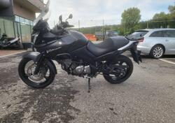 Suzuki V-Strom 650DL (2004 - 06) usata