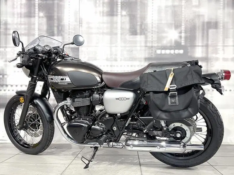 Kawasaki W 800 (2020) (2)