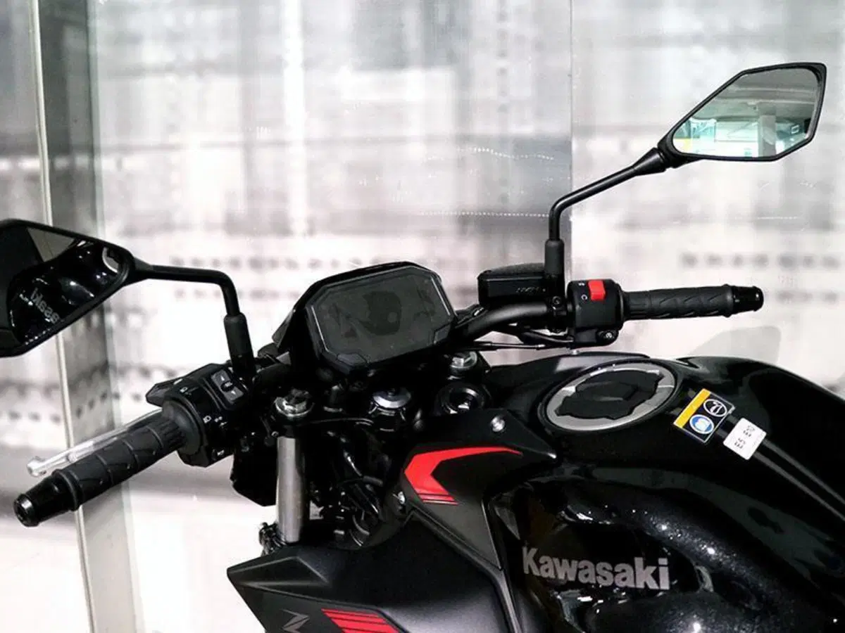 Kawasaki Z 650 (2021 - 24) (5)