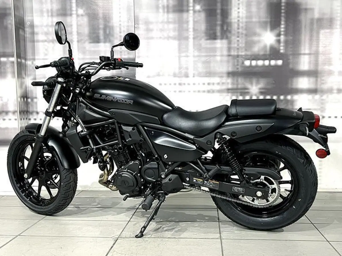 Kawasaki Eliminator 500 (2024 - 26) (2)