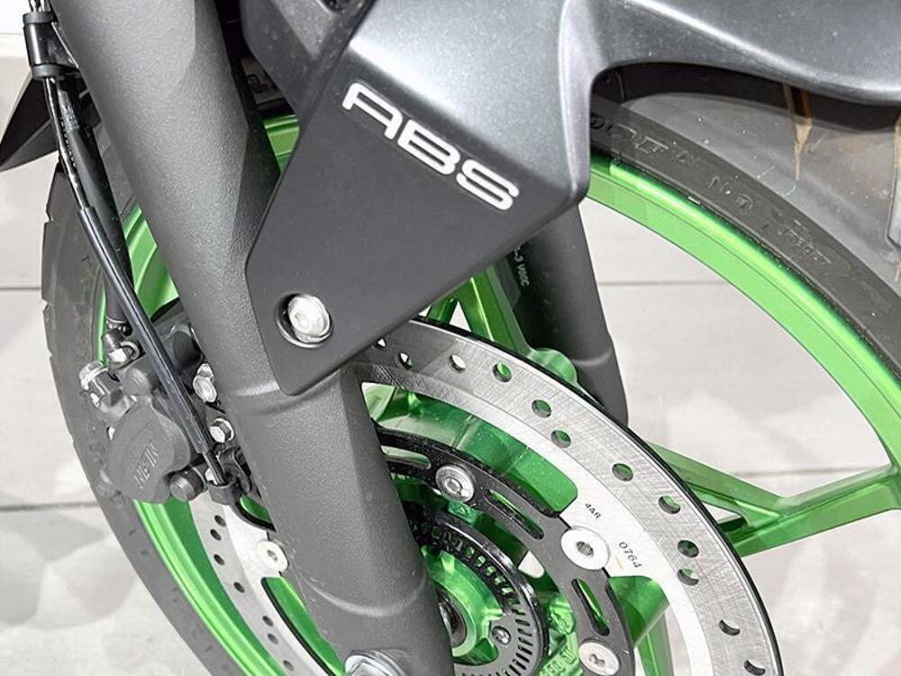 Kawasaki Z 500 SE (2024 - 26) (3)