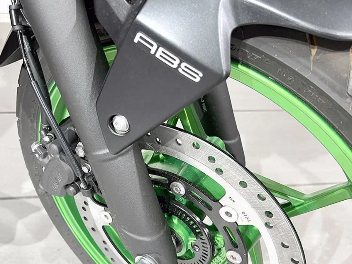 Kawasaki Z 500 SE (2024 - 26) (3)
