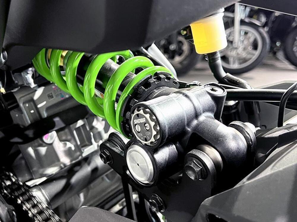 Kawasaki Ninja ZX-4RR (2024 - 26) (3)