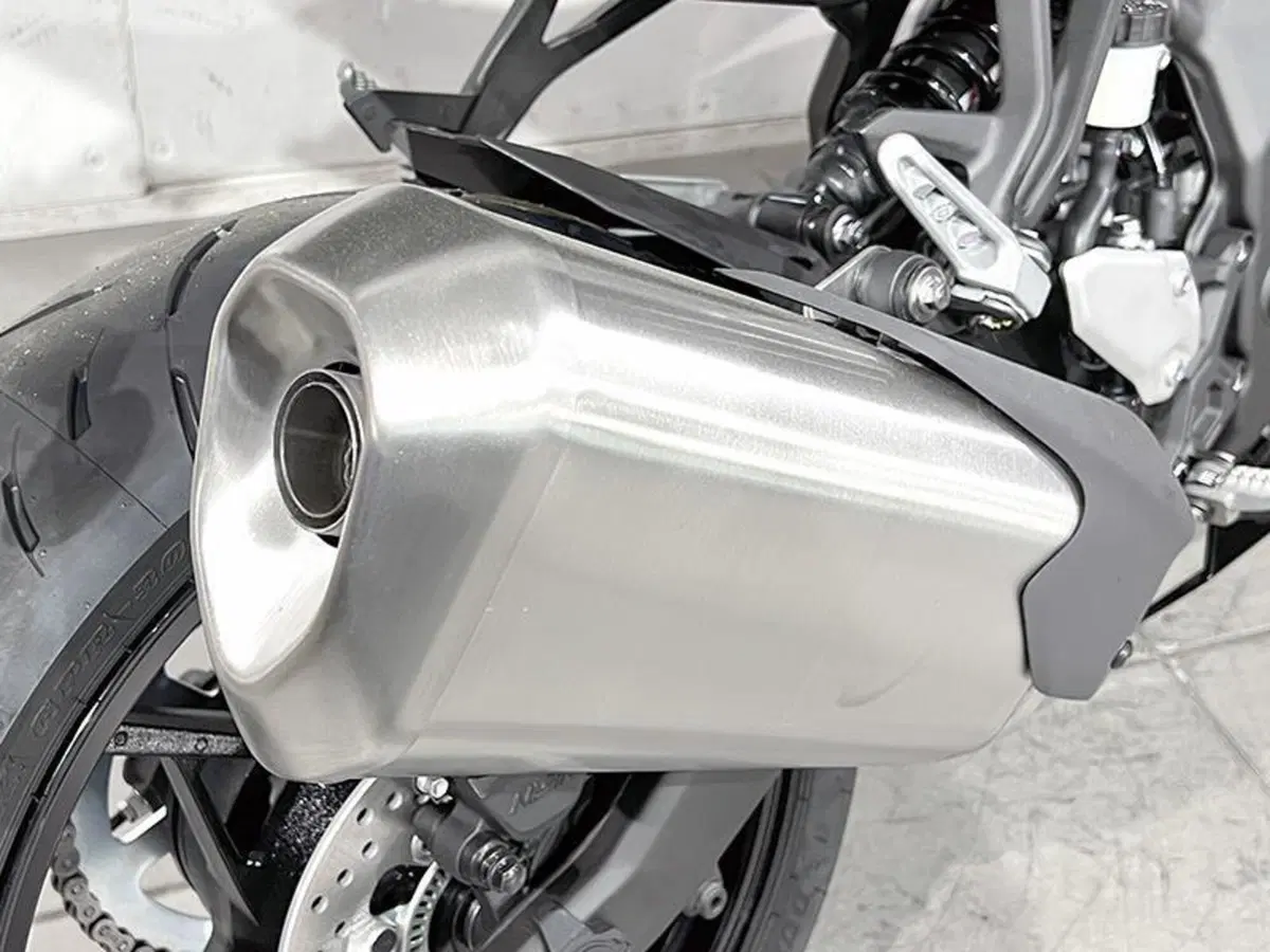 Kawasaki Ninja ZX-4R (2024 - 26) (3)