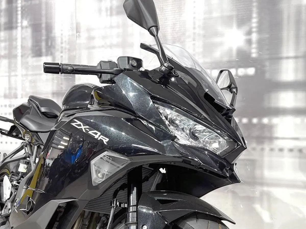 Kawasaki Ninja ZX-4R (2024 - 26) (4)