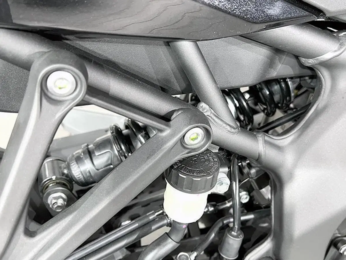 Kawasaki Ninja ZX-4R (2024 - 26) (5)