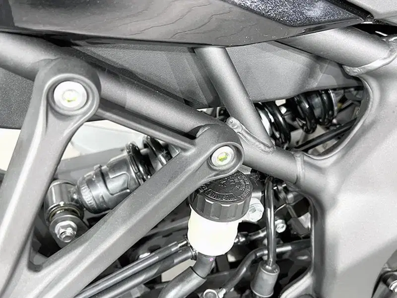 Kawasaki Ninja ZX-4R (2024 - 26) (5)