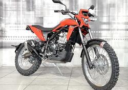 Betamotor Alp 4.0 (2024 - 25) nuova