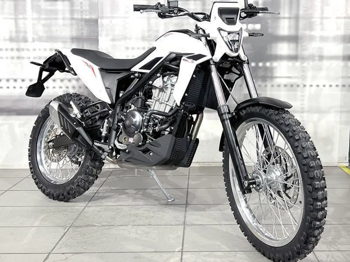 Betamotor Alp 4.0 (2024 - 26)