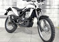 Betamotor Alp 4.0 (2024 - 25) nuova