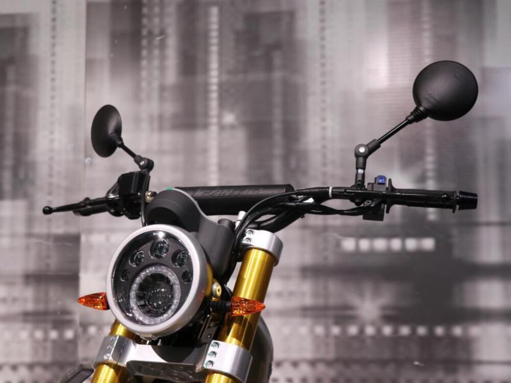 Fantic Motor Caballero 500 Rally (2021 - 23) (4)