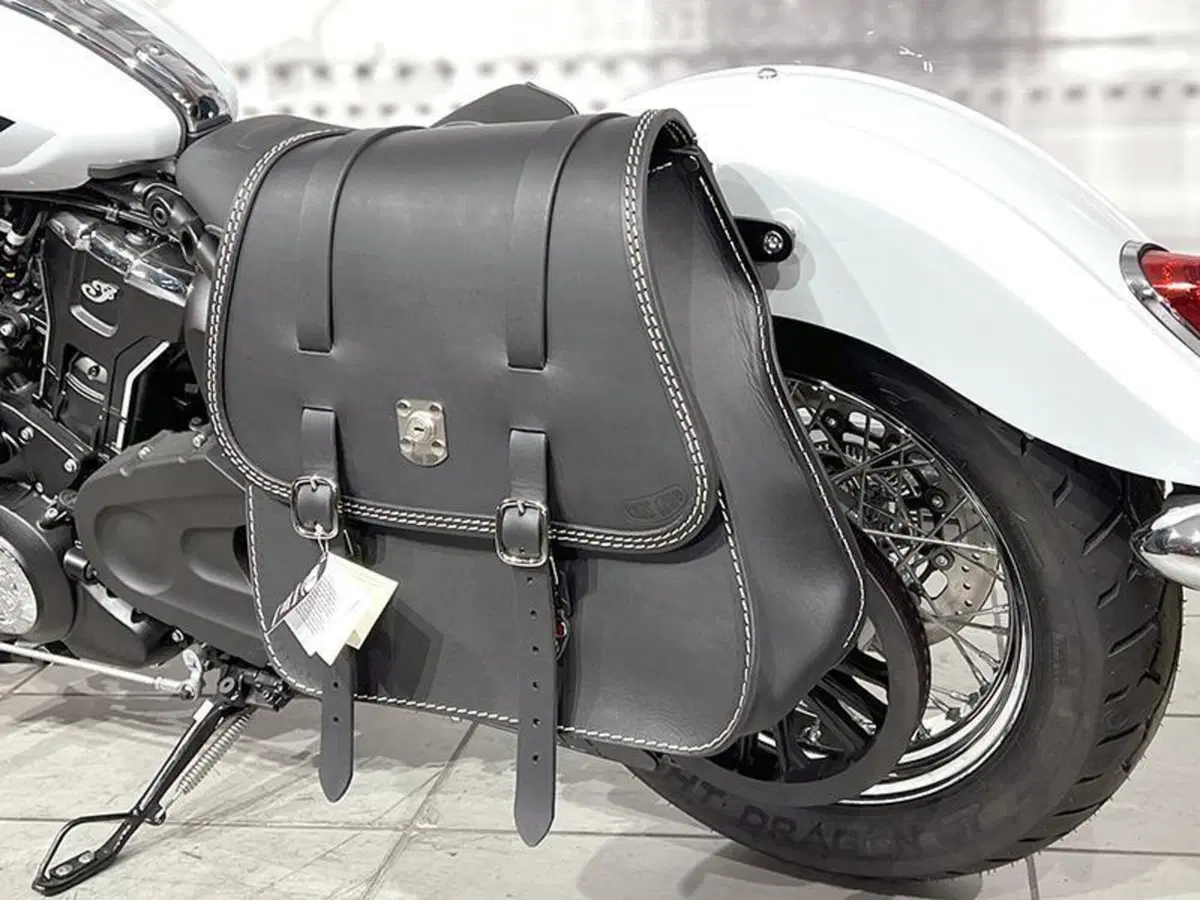 Indian Scout 1133 (2021 - 25) (4)