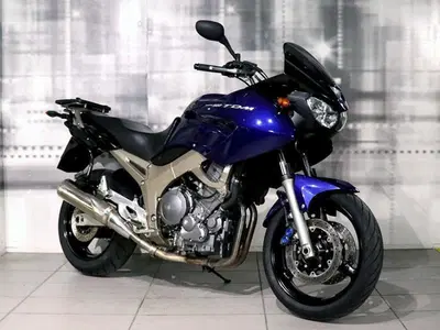 Yamaha TDM 900 (2002 - 14) usata