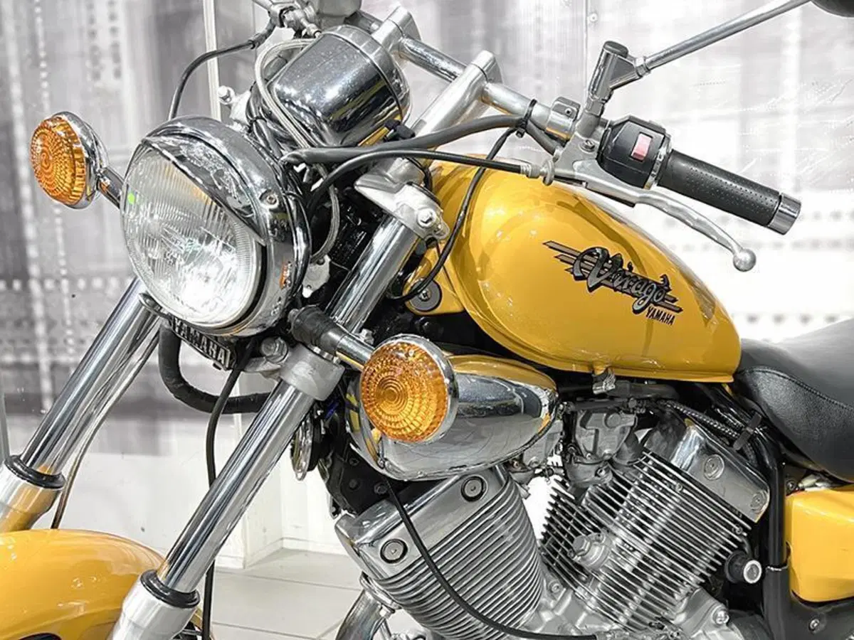 Yamaha XV 535 (1988 - 97) (5)