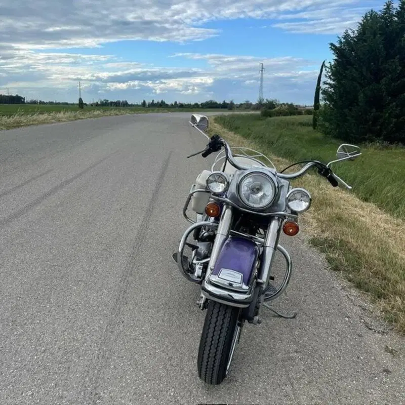 Harley-Davidson FLH 1200 Electra Glide Shovelhead  (7)