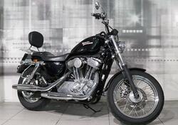 Harley-Davidson 883 (2006 - 07) - XL usata