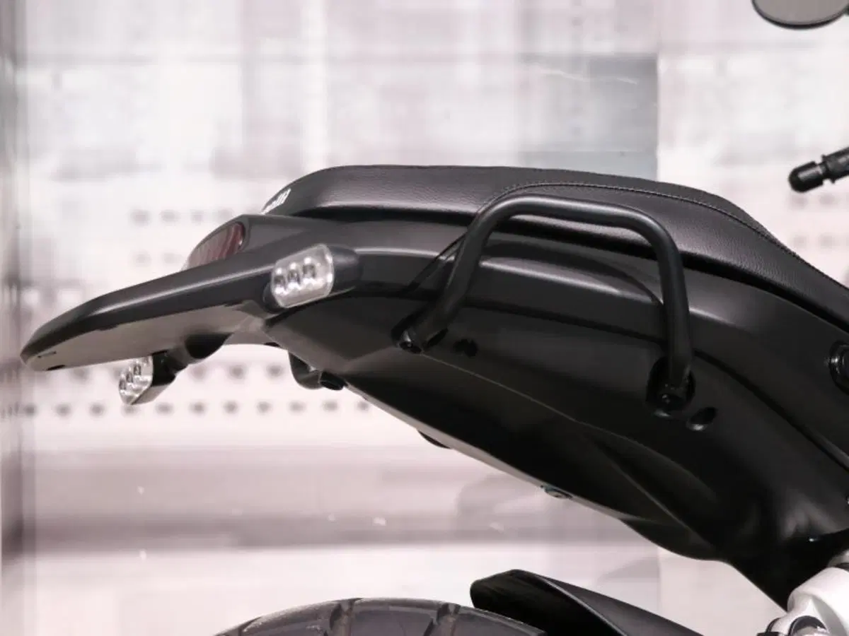 Benelli Leoncino 500 (2021 - 25) (3)