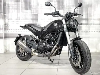 Benelli Leoncino 500 (2021 - 25) usata
