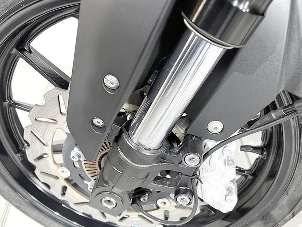 Benelli Leoncino 250 (2021 - 25) (4)