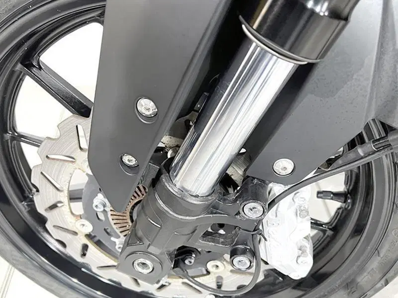 Benelli Leoncino 250 (2021 - 25) (4)