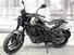 Benelli Leoncino 250 (2021 - 25) (7)