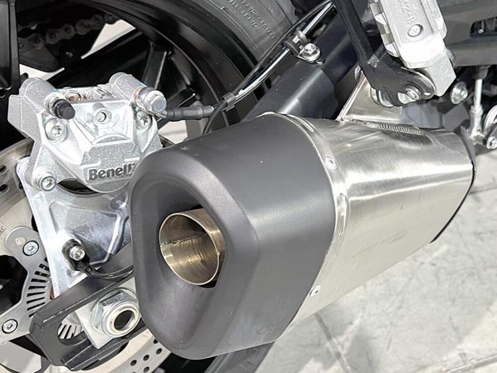 Benelli Leoncino 800 (2022 - 25) (3)