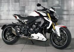 Suzuki GSX-R1000 (2012 - 15) usata