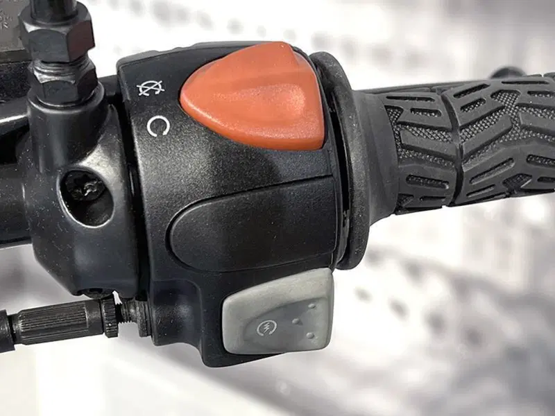 Bmw F 650 GS (2000 - 03) (5)