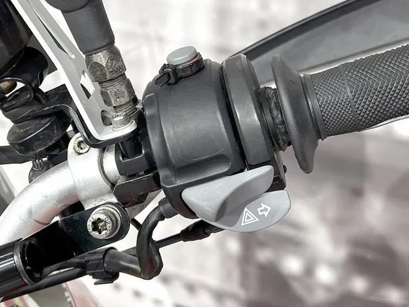 Bmw F 800 GS (2008 - 15) (4)