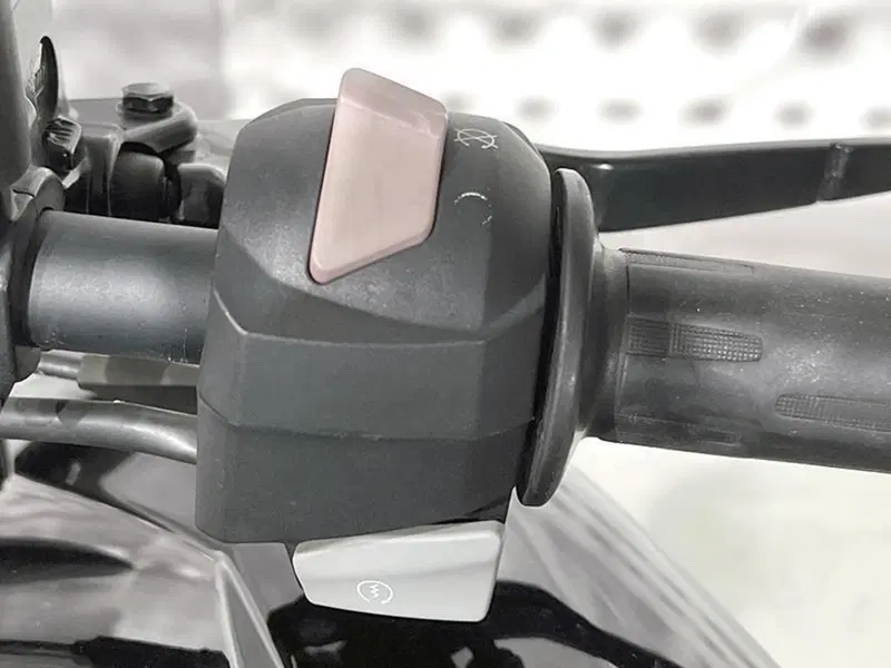 Bmw G 310 R (2016 - 20) (5)