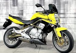 Kawasaki ER-6N (2005 - 08) usata