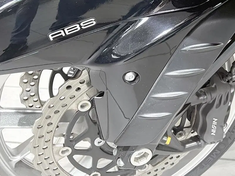 Kawasaki ZZR 1400 (2006 - 11) (5)