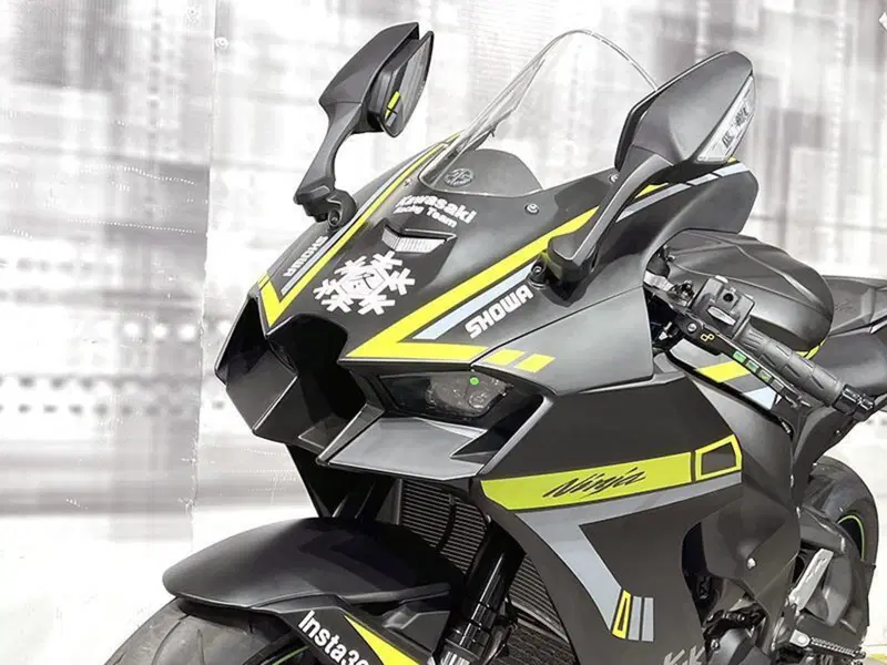 Kawasaki Ninja 1000 ZX-10RR (2021 - 23) (5)