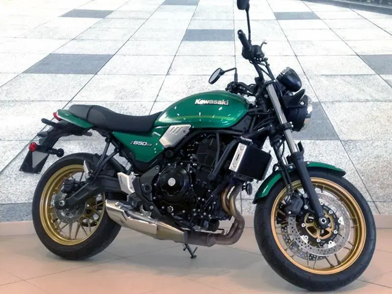Kawasaki Z 650 (2021 - 24)