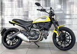 Ducati Scrambler 800 Icon (2015 - 16) usata