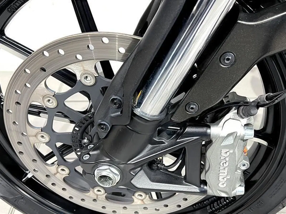 Ducati Scrambler 800 Icon (2021 - 22) (4)