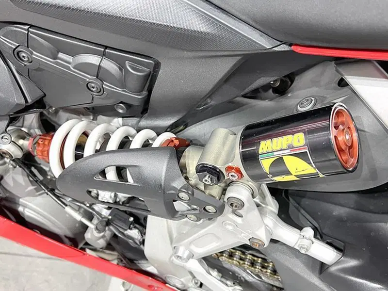 Ducati 1199 Panigale R ABS (2013 - 17) (4)