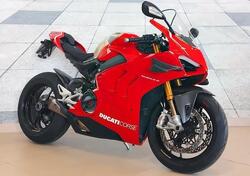 Ducati 959 Panigale (2016 - 19) usata